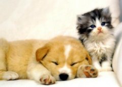 晚上睡不著對(duì)身體和生活有什么影響